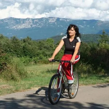 House Katarina Nyaraló *